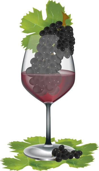 Glass Red Wine Black Grapes — Stock Vector
