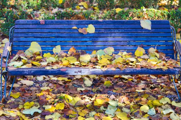 Gulnade Och Fallna Poppelskivor Täcka Bänk — Stockfoto