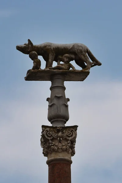 Historical City Siena Tuscany Italy Palio — Stok fotoğraf