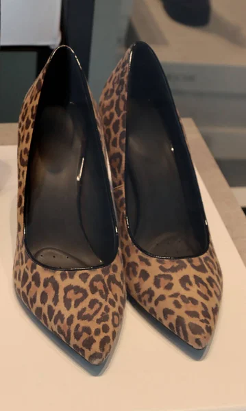 Leopard Print Female High Heeled Shoes — Stock Photo, Image