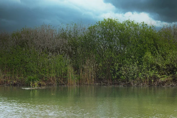 swamp with water and ominous cloudy sky