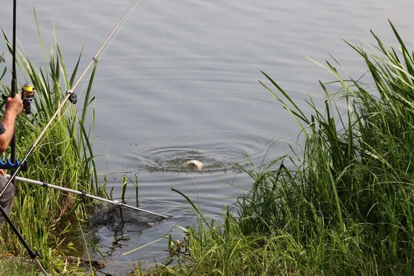 Pêcheur Avec Attraper Poisson — Photo