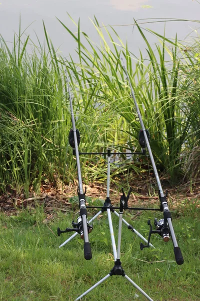 Orilla Del Lago Con Cañas Pescar —  Fotos de Stock