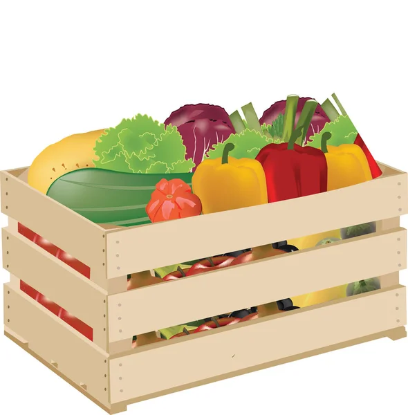 Большая Коробка Свежих Сезонных Овощей — стоковый вектор