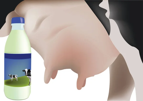 Bottle Milk Bovine Udder — стоковый вектор