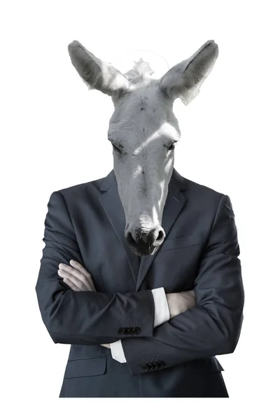 Distinguished Person Donkey Face — Stock Photo, Image