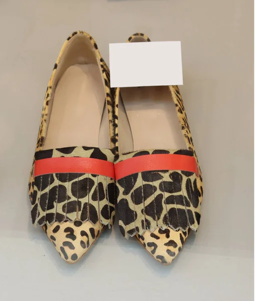 Exposed Leopard Low Female Shoes — Stock Photo, Image
