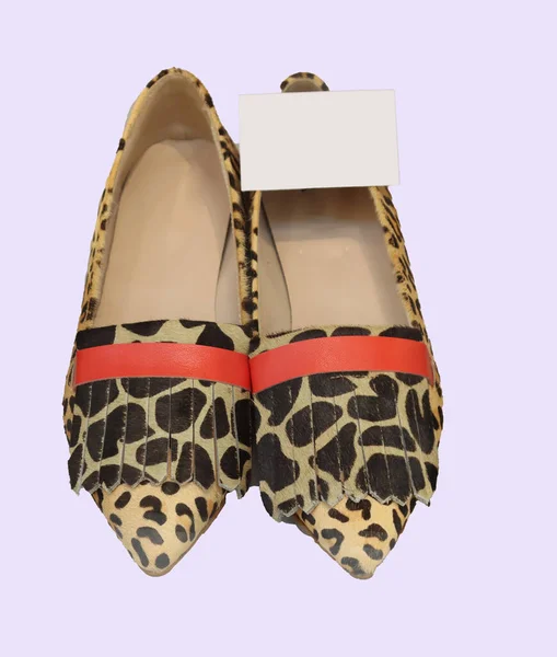 Exposed Leopard Low Female Shoes — Stock Photo, Image