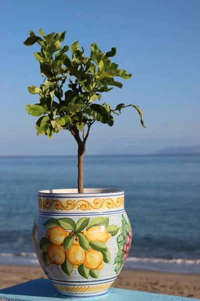 シチリアの装飾とレモンの植物と花瓶 — ストック写真