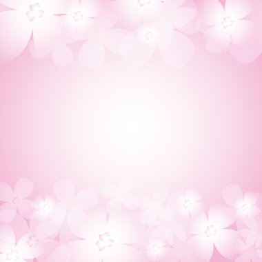 güzel pembe çiçek arkaplanı