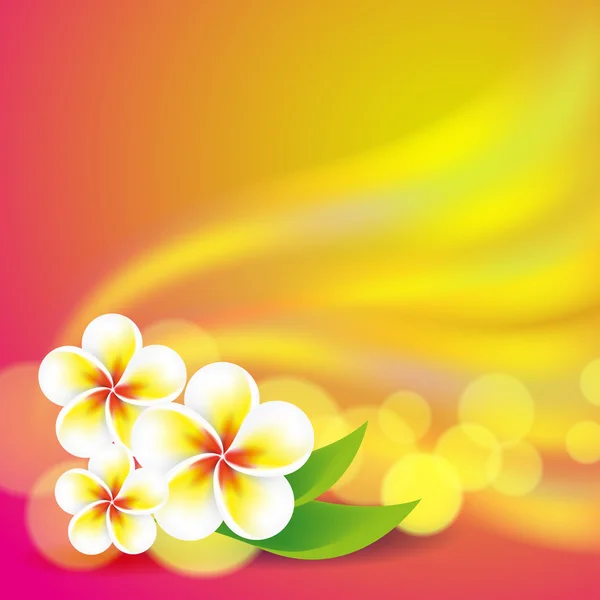 Frangipani flowers on colorful background — Stock Vector