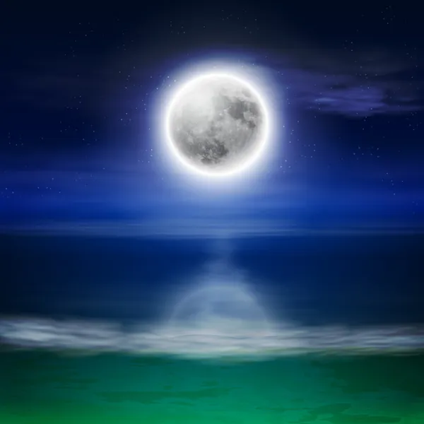 Plage avec pleine lune la nuit — Image vectorielle