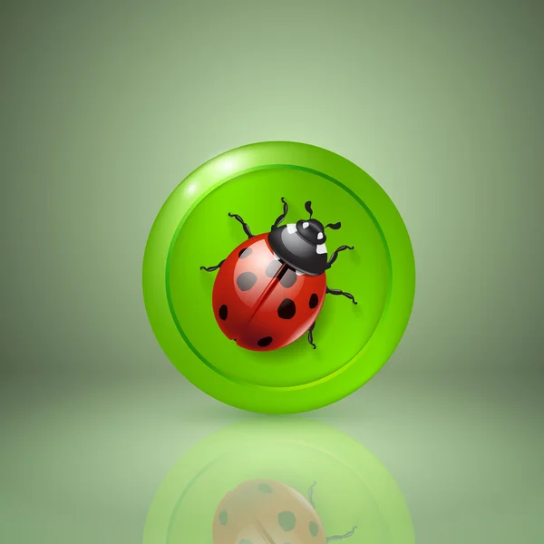 Coccinelle. Icône pour app ou web design . — Image vectorielle