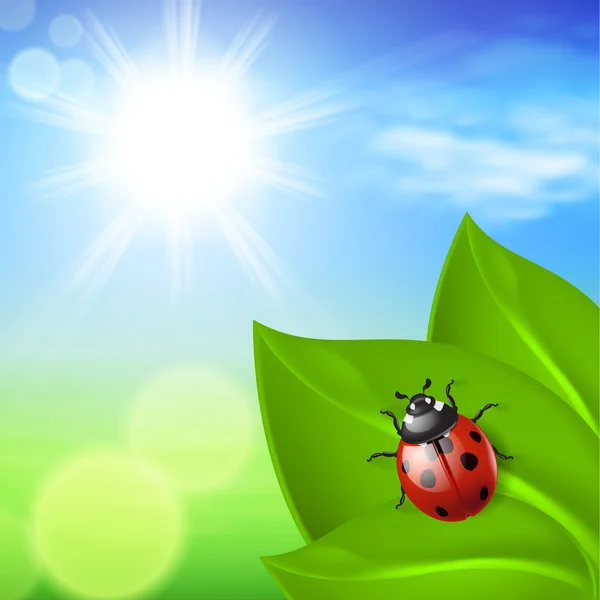 Soliga bakgrund med grönt gräs och ladybird — Stock vektor