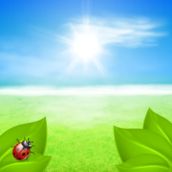 Yeşil çim ve uğur böceği güneşli arka plan — Stok Vektör