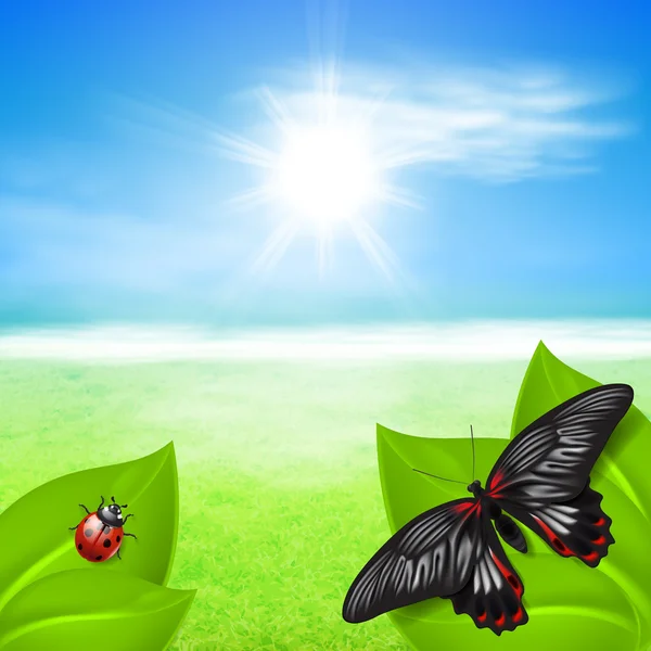Солнечный фон с зеленой травой и насекомыми — стоковый вектор