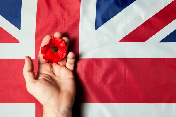 Día Del Recuerdo Realistic Red Poppy Flower Hand Flag United Fotos de stock libres de derechos