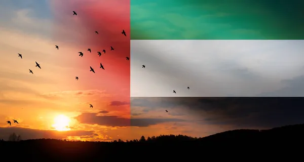 美しい朝の空に向かって飛んでアラブ首長国連邦の旗。記念日. — ストック写真