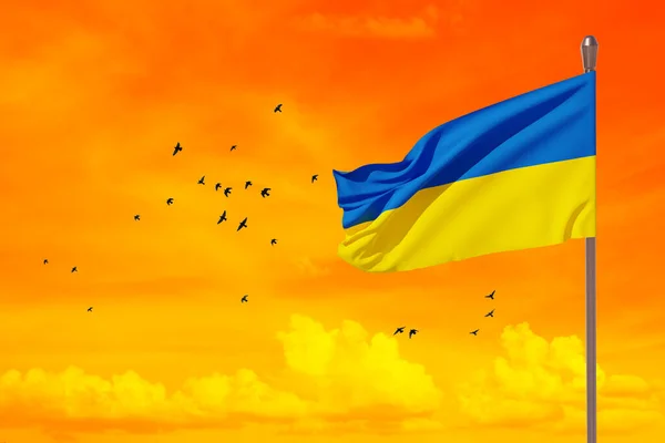 Bandera de Ucrania en el cielo naranja con pájaro. Cerrar ondeando bandera de Ucrania. Bandera símbolos de Ucrania. — Foto de Stock