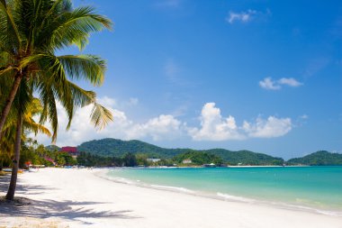 mükemmel tropik ada bir sahil tatil