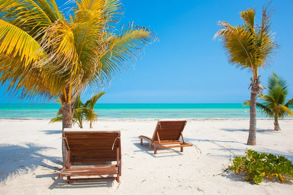 Strandstoelen in de buurt van palmbomen — Stockfoto