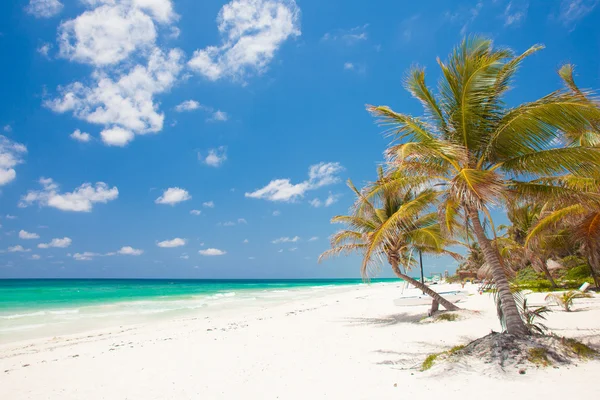 Playa tropical con palmeras y un barco en Tulum México el Caribe —  Fotos de Stock