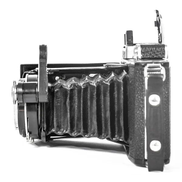 Vintage Camera Accordion White Background — Stok fotoğraf
