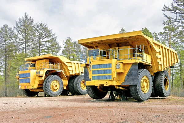 Two Yellow Mining Dump Trucks Stand Legs Forest — 图库照片