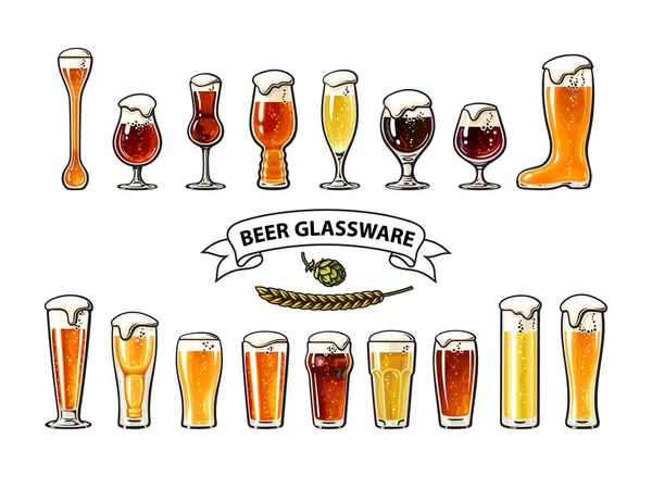 Big Vintage Set Different Types Beer Glasses Beer Glassware Guide — 图库矢量图片