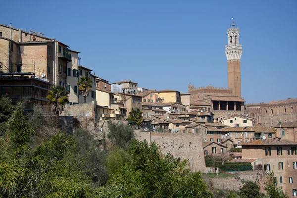 sienna geniş görüş