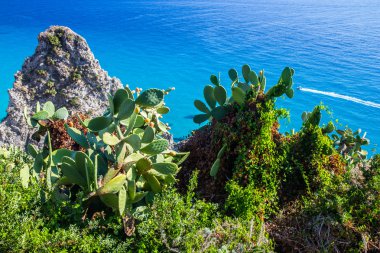 En iyi deniz ve plajlar Avrupa, capo vaticano calabria, İtalya