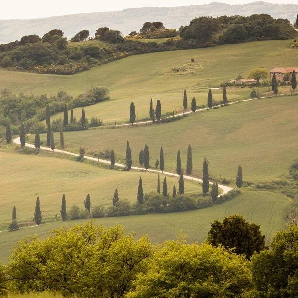 Toscana, Italia. Paesaggio — Foto Stock