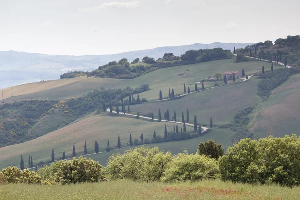 Toscane, Italië. landschap — Stockfoto