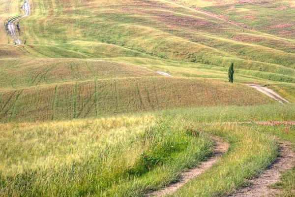 Toscane, Italie — Photo