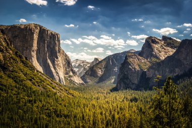 Yosemite Ulusal Parkı