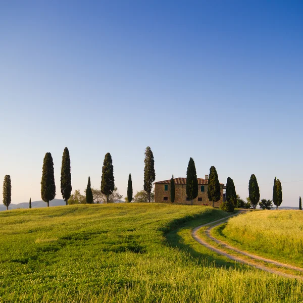 Maalaistalo ja sypressipuut, Toscana — kuvapankkivalokuva