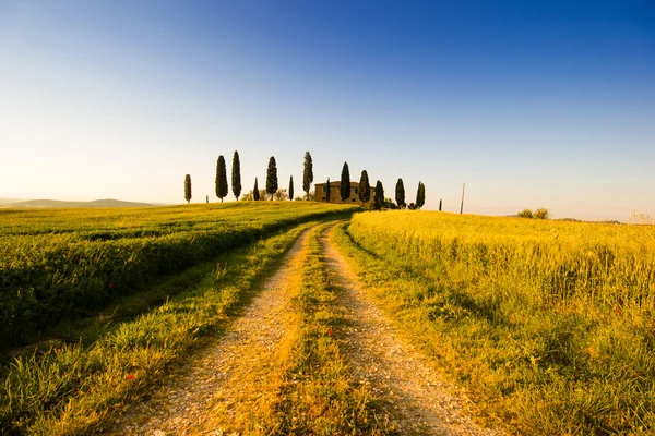 Campagna toscana in Italia — Foto Stock