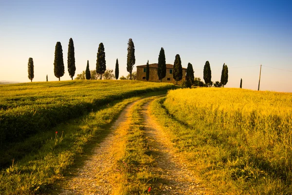 Toscaanse platteland, Italië — Stockfoto