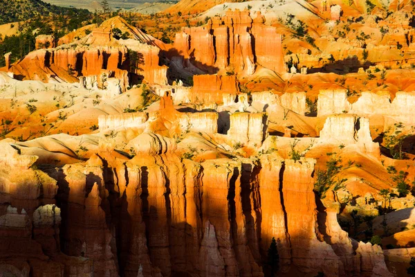 Bryce Canyon. — Fotografia de Stock