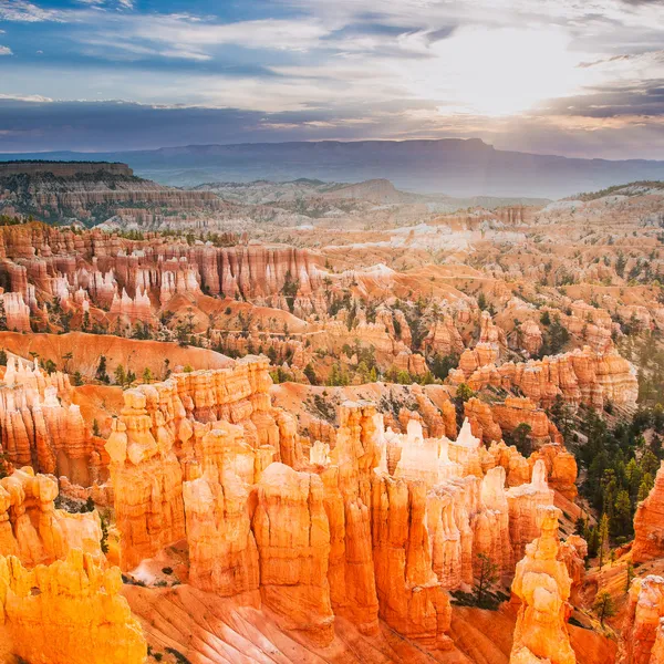 Bryce Canyon Ordförande — Stockfoto