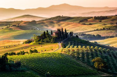 Tuscany - scenic landscape clipart