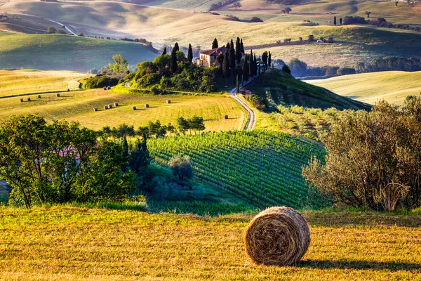 Toscana Manhã campo — Fotografia de Stock