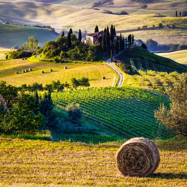 Tuscan sabah kırsal