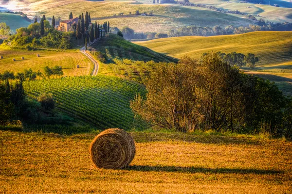 El paisaje toscano, campo — Foto de Stock