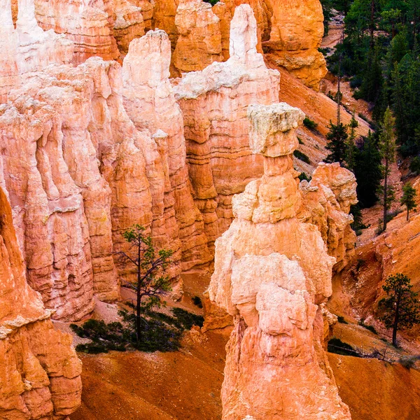 Národní park bryce canyon — Stock fotografie