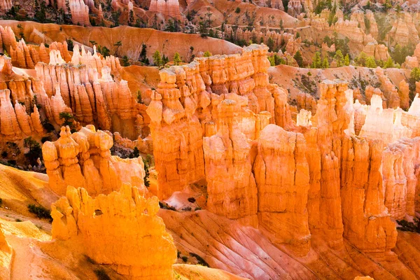 O Parque Nacional do Canyon Bryce — Fotografia de Stock