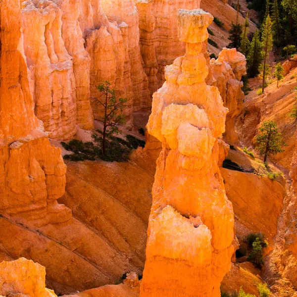 O Parque Nacional do Canyon Bryce — Fotografia de Stock