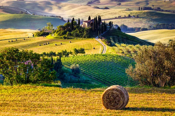 Landskap i Toscana Morgen royaltyfrie gratis stockbilder