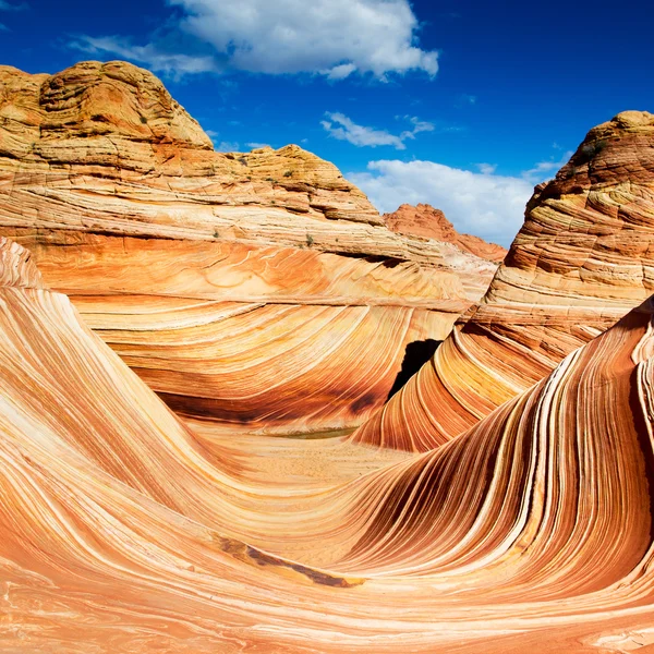 Die Welle in arizona — Stockfoto