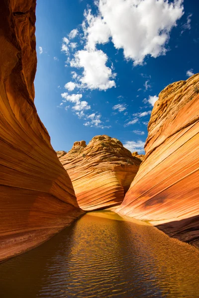 Wave canyon — Stockfoto